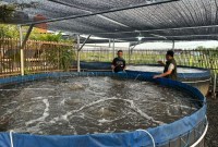 Gubernur dua periode ini secara khusus datang ke tempat usaha Madkhazin pada Kamis (14/3/2024) (SuarIndonesia/adv)