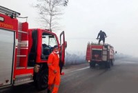 Petugas memadamkan api yang membakar lahan seluas 240,77 hektare di Kabupaten Natuna, Kepulauan Riau. [ANTARA/HO-Pemkab Natuna]
