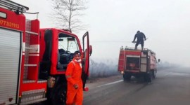 Petugas memadamkan api yang membakar lahan seluas 240,77 hektare di Kabupaten Natuna, Kepulauan Riau. [ANTARA/HO-Pemkab Natuna]