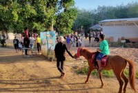 Wisata di Kabupaten Balangan, Alfatah Stable. (SuarIndonesia/Adv)