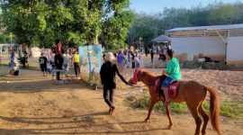 Wisata di Kabupaten Balangan, Alfatah Stable. (SuarIndonesia/Adv)