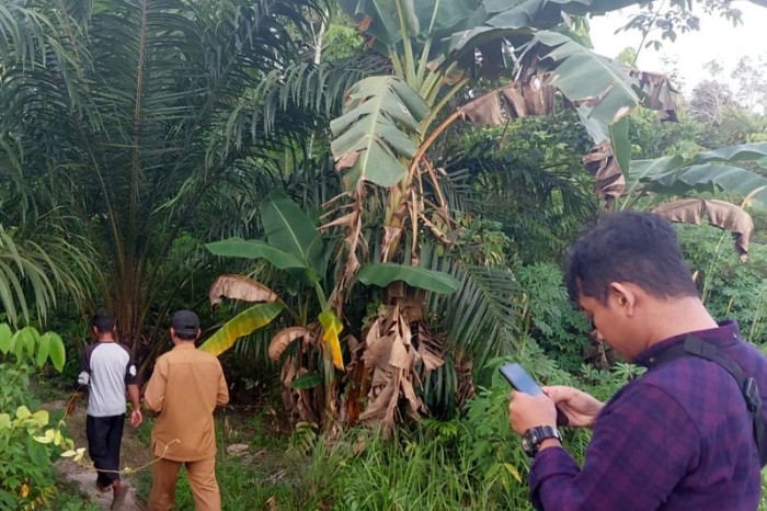 WRU SKW I Ketapang melakukan groundcheck di lokasi munculnya orangnya di kawasan tersebut. [ANTARA/BKSDA Kalbar]