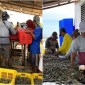 Panen parsial udang vaname di kawasan Shrimp Estate BERKAH Kabupaten Sukamara, Rabu (29/5/2024). [ANTARA/HO-Dislutkan Kalteng]