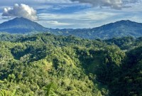 Lokasi pembangunan Bendungan Pancur Hanau yang diusulkan pemerintah daerah ke Kementerian Pekerjaan Umum dan Penataan Ruang (PUPR) RI sebagai proyek besar di Kecamatan Hantakan, Kabupaten Hulu Sungai Tengah, Kalimantan Selatan, Senin (8/4/2024). [ANTARA/Tumpal Andani Aritonang]