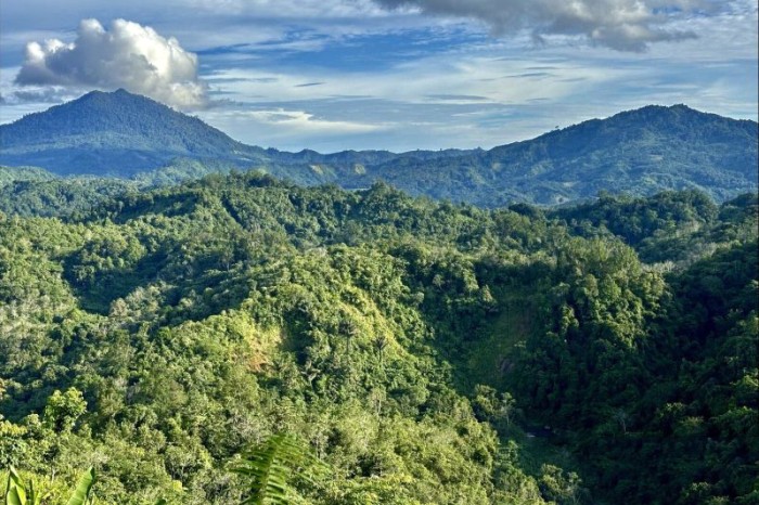 Lokasi pembangunan Bendungan Pancur Hanau yang diusulkan pemerintah daerah ke Kementerian Pekerjaan Umum dan Penataan Ruang (PUPR) RI sebagai proyek besar di Kecamatan Hantakan, Kabupaten Hulu Sungai Tengah, Kalimantan Selatan, Senin (8/4/2024). [ANTARA/Tumpal Andani Aritonang]