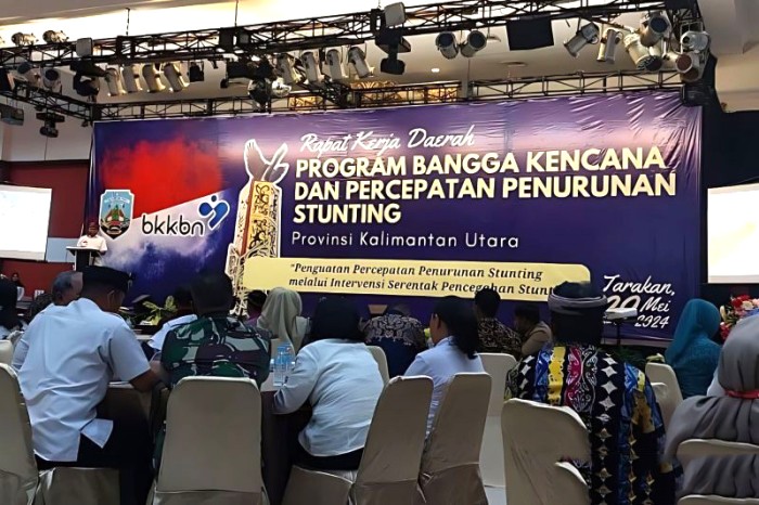 Suasana Rapat Kerja Daerah Program Bangga Kencana dan Percepatan Penurunan Stunting 2024 bertajuk “Penguatan Percepatan Penurunan Stunting melalui Intervensi Serentak Pencegahan Stunting” yang digelar Pemprov Kaltara di Kota Tarakan, Rabu (29/5/2024). [ANTARA/HO-Adpim Kaltara]
