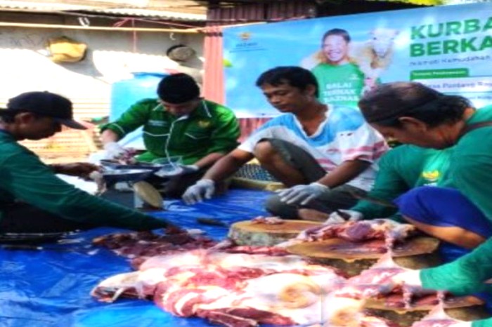 BAZNAS Kalsel melakukan pemotongan daging kurban saat Idul Adha tahun lalu. [ANTARA/HO-MC Kalsel]