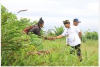 Gubernur Kalimantan Utara Zainal Arifin Paliwang saat meninjau para petani. [ANTARA/HO-DKISP Kaltara]