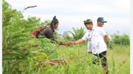 Gubernur Kalimantan Utara Zainal Arifin Paliwang saat meninjau para petani. [ANTARA/HO-DKISP Kaltara]