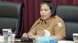 Kepala Bidang Persandian dan Statistik Diskominfo Kalbar, Maria Wijayanti. [ANTARA/Rendra Oxtora]