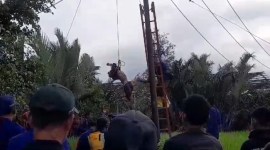 seorang kakek ditemukan tewas tergantung di atas tiang listrik yang berada di kawasan Desa Tinggiran II Luar Handil I RT 02 Kecamatan Tamban Kabupaten Barito Kuala (Batola), Minggu (19/5/2024).. SuarIndonesia/DO)