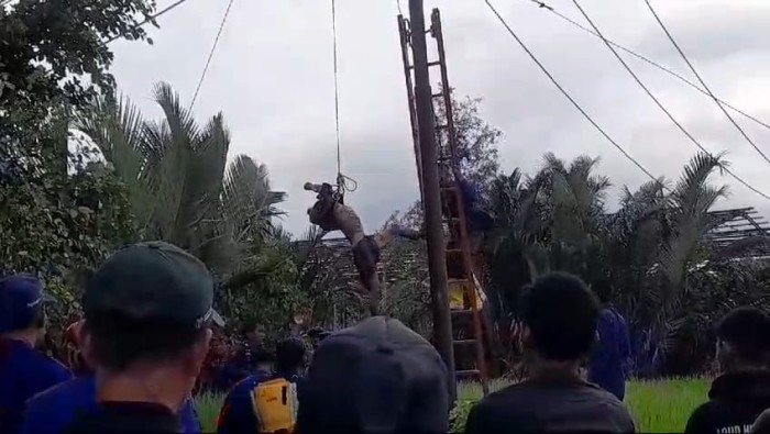seorang kakek ditemukan tewas tergantung di atas tiang listrik yang berada di kawasan Desa Tinggiran II Luar Handil I RT 02 Kecamatan Tamban Kabupaten Barito Kuala (Batola), Minggu (19/5/2024).. SuarIndonesia/DO)
