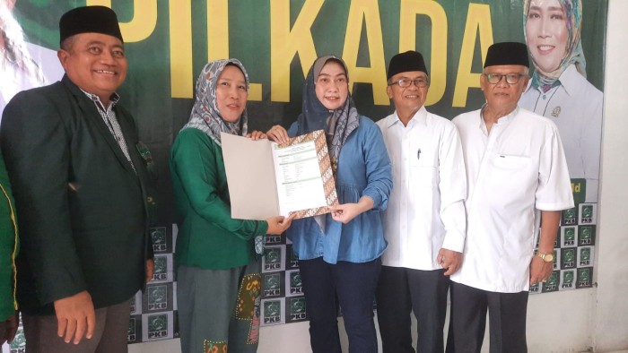 Hj Lisa Halaby sebagai bakal calon Walikota Banjarbaru (SuarIndonesia/Ist)