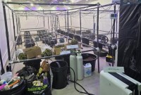 
Bareskrim Polri mengungkap laboratorium ganja hidroponik dan mephedrone yang diproduksi WN Ukrania dan Rusia di vila di Kawasan Canggu, Badung, Bali. [detikcom/Mei Amelia]