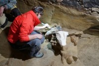 Thomas Einwogerer dan Hannah Parow-Souchon mempersiapkan tulang untuk pemulihan. [Yannik Merkl/yahoo]