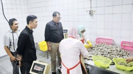 Pemprov Kalteng melaksanakan kunjungan penjajakan kemitraan usaha ke sejumlah perusahaan ekspor di Jakarta, Senin (3/6/2024) kemarin. Hal ini dilakukan untuk perluasan pemasaran hasil Shrimp Estate Berkah. [ANTARA/HO-Dislutkan Kalteng]