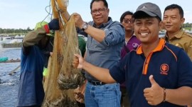 Kepala Dislutkan Kalteng Darlianjah turut serta dalam panen parsial kelima pada Shrimp Estate Berkah di Sukamara, Sabtu (11/5/2024) bulan lalu. [ANTARA/HO-Dislutkan Kalteng]