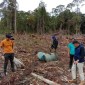 Tim dari BKSDA Kalbar bersama Satgas Pamtas RI menghentikan aktivitas PETI yang dilakukan masyarakat di kawasan konservasi Taman Wisata Alam (TWA) Gunung Asuansang, Rabu (26/6/2024). [ANTARA/HO-BKSDA Kalbar]
