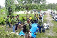 Foto Ilustrasi - Gerakan Pro Organik, yaitu penggunaan pupuk organik bermanfaat bagi peningkatan produksi pertanian baik kualitas dan kuantitas, mengurangi pencemaran lingkungan dan meningkatkan kualitas lahan secara berkelanjutan. [wartaniaga]