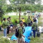 Foto Ilustrasi - Gerakan Pro Organik, yaitu penggunaan pupuk organik bermanfaat bagi peningkatan produksi pertanian baik kualitas dan kuantitas, mengurangi pencemaran lingkungan dan meningkatkan kualitas lahan secara berkelanjutan. [wartaniaga]