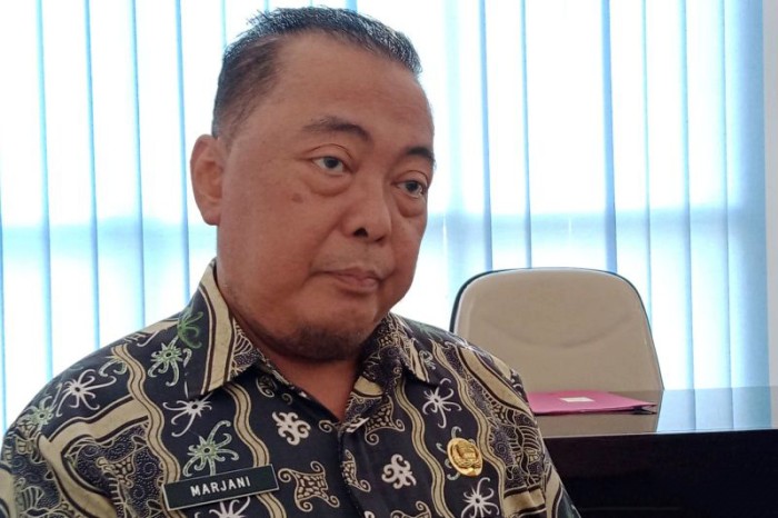 
Kepala Dinas Nakertrans Kabupaten Penajam Paser Utara, Provinsi Kalimantan Timur Marjani. [ANTARA/Nyaman Bagus P]
