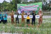 Penjabat Bupati Tabalong Hamida Munawarah saat panen bawang merah di penangkaran Tunas Baru Desa Sei Anyar Kecamatan Banua Lawas, Kalimantan Selatan, Rabu (5/6/2024). [ANTARA/Herlina Lasmianti]