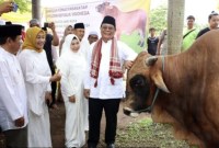 Gubernur Kalsel Sahbirin Noor didampingi istri menyerahkan sapi kurban bantuan kemasyarakatan dari Presiden RI untuk Hari Raya Idul Adha 1445 H di Masjid Agung Al-Karomah Martapura, Kabupaten Banjar, Minggu (16/6/2024). [ANTARA/HO-MC Kalsel]