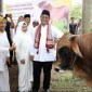 Gubernur Kalsel Sahbirin Noor didampingi istri menyerahkan sapi kurban bantuan kemasyarakatan dari Presiden RI untuk Hari Raya Idul Adha 1445 H di Masjid Agung Al-Karomah Martapura, Kabupaten Banjar, Minggu (16/6/2024). [ANTARA/HO-MC Kalsel]