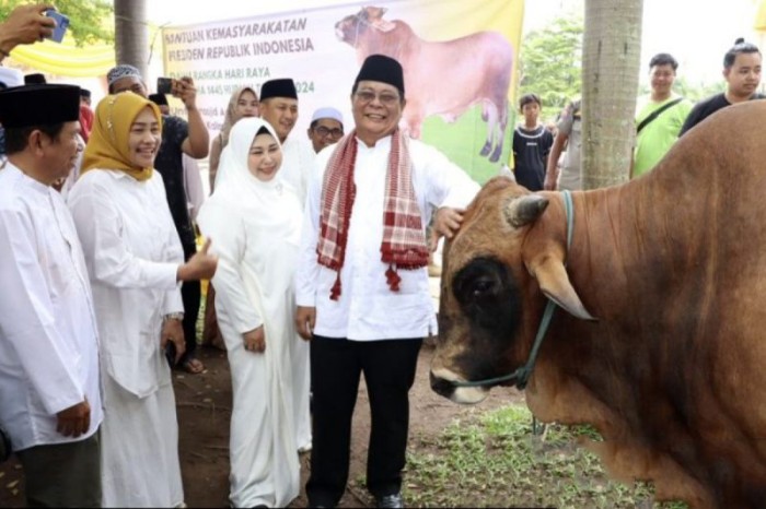 Gubernur Kalsel Sahbirin Noor didampingi istri menyerahkan sapi kurban bantuan kemasyarakatan dari Presiden RI untuk Hari Raya Idul Adha 1445 H di Masjid Agung Al-Karomah Martapura, Kabupaten Banjar, Minggu (16/6/2024). [ANTARA/HO-MC Kalsel]