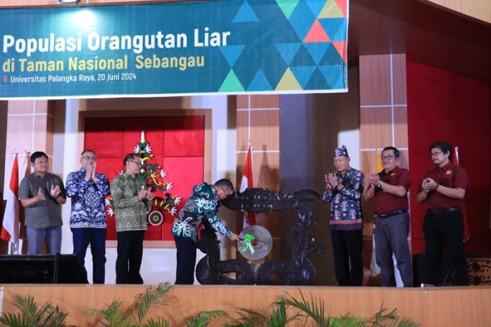 Wakil Menteri Lingkungan Hidup dan Kehutanan Republik Indonesia Alue Dohong memukul gong usai pembukaan Seminar Nasional tentang Populasi Orangutan Liar di Taman Nasional Sebangau yang digelar di Universitas Palangka Raya (UPR), Kamis (20/6/2024). [ANTARA/HO-YBNI]