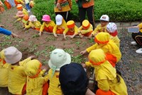 127 Anak Anak TK Paud Sholeh Mandiri Banjarmasin, pada Rabu (5/6/2024) mengikuti kegiatan Outbound. (SuarIndonesia/Ist)