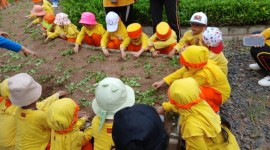 127 Anak Anak TK Paud Sholeh Mandiri Banjarmasin, pada Rabu (5/6/2024) mengikuti kegiatan Outbound. (SuarIndonesia/Ist)