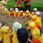 127 Anak Anak TK Paud Sholeh Mandiri Banjarmasin, pada Rabu (5/6/2024) mengikuti kegiatan Outbound. (SuarIndonesia/Ist)
