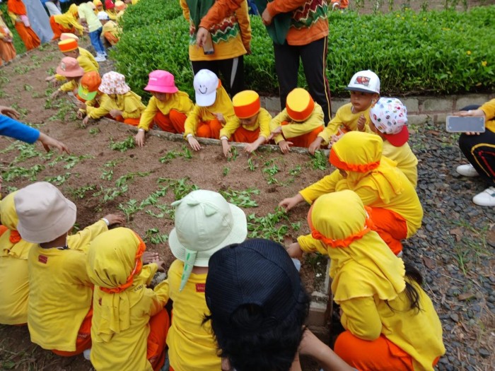 127 Anak Anak TK Paud Sholeh Mandiri Banjarmasin, pada Rabu (5/6/2024) mengikuti kegiatan Outbound. (SuarIndonesia/Ist)