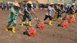 Kepala Staf Angkatan Darat  Jenderal TNI Maruli Simanjuntak, tandai 