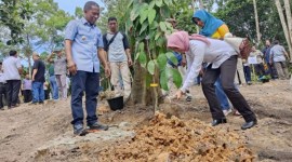 Foto Ilustrasi -- Bupati Bulungan, Syarwani Ikiri) bersama Sekretaris Deputi Pemanfaatan Riset dan Inovasi BRIN, Lindawati Wardani (kiri) menanam bibit 