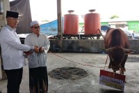 Sapi Limousine untuk kurban dari Kapolri, Jenderal Listyo Sigit Prabowo dan dari Kapolda Kalsel, Irjen Pol Winarto, diserahkan ke Sekumpul Martapura, Minggu (16/6/2024) (SuarIndonesia/Ist