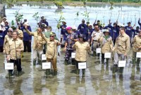 Gubernur Kaltara Zainal A Paliwang bersama Kepala BRGM Hartono, pihak Bank Dunia, dan sejumlah jajaran Pemerintahan dan masyarakat lainnya pada kegiatan Kick-Off Penanaman Mangrove Proyek Mangrove for Coastal Resilience (M4CR) di Desa Sengkong, Kecamatan Sesayap Hilir, Kabupaten Tana Tidung, Senin (24/6/2024). [ANTARA/Muhammad Arfan]