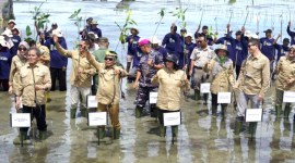 Gubernur Kaltara Zainal A Paliwang bersama Kepala BRGM Hartono, pihak Bank Dunia, dan sejumlah jajaran Pemerintahan dan masyarakat lainnya pada kegiatan Kick-Off Penanaman Mangrove Proyek Mangrove for Coastal Resilience (M4CR) di Desa Sengkong, Kecamatan Sesayap Hilir, Kabupaten Tana Tidung, Senin (24/6/2024). [ANTARA/Muhammad Arfan]