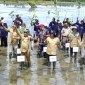 Gubernur Kaltara Zainal A Paliwang bersama Kepala BRGM Hartono, pihak Bank Dunia, dan sejumlah jajaran Pemerintahan dan masyarakat lainnya pada kegiatan Kick-Off Penanaman Mangrove Proyek Mangrove for Coastal Resilience (M4CR) di Desa Sengkong, Kecamatan Sesayap Hilir, Kabupaten Tana Tidung, Senin (24/6/2024). [ANTARA/Muhammad Arfan]