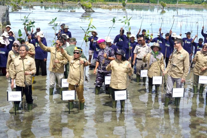 Gubernur Kaltara Zainal A Paliwang bersama Kepala BRGM Hartono, pihak Bank Dunia, dan sejumlah jajaran Pemerintahan dan masyarakat lainnya pada kegiatan Kick-Off Penanaman Mangrove Proyek Mangrove for Coastal Resilience (M4CR) di Desa Sengkong, Kecamatan Sesayap Hilir, Kabupaten Tana Tidung, Senin (24/6/2024). [ANTARA/Muhammad Arfan]