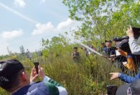 Badan Restorasi Gambut dan Mangrove (BRGM) mengenalkan pengelolaan gambut pada pemuda melalui program Ekspedisi Sobat Muda Menyusuri Gambut dan Tur Media yang dipusatkan di Kabupaten Pulang Pisau, Kalimantan Tengah (Kalteng), Jumat (6/21/2024). [ANTARA/Rendhik Andika]