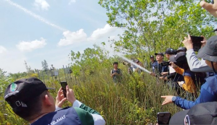 Badan Restorasi Gambut dan Mangrove (BRGM) mengenalkan pengelolaan gambut pada pemuda melalui program Ekspedisi Sobat Muda Menyusuri Gambut dan Tur Media yang dipusatkan di Kabupaten Pulang Pisau, Kalimantan Tengah (Kalteng), Jumat (6/21/2024). [ANTARA/Rendhik Andika]
