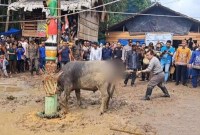 Asisten III Setda Gumas Letus Guntur menombak hewan saat Tabuh Pertama Tiwah massal di Kelurahan Tampang Tumbang Anjir Kecamatan Kurun. [ANTARA/Chandra]