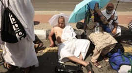 Jemaah haji meninggal dunia akibat panas ekstrem di Saudi mencapai 1.000 orang. [AFP/FADEL SENNA]