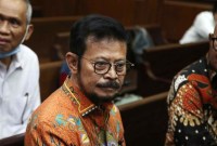 Syahrul Yasin Limpo. [detikcom/Pradita Utama]