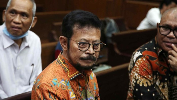 Syahrul Yasin Limpo. [detikcom/Pradita Utama]