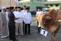 Korem 101/Antasari berbagi, menyerahkan hewan kurban secara simbolis kepada ketua panitia SuarIndonesia/Ist)