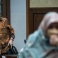 Syahrul Yasin Limpo. [detikcom/Rifkianto N]