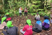 Edukasi hutan hujan kepada para peserta di kawasan TNGP. [ANTARA/Dokumentasi Yayasan Palung]
